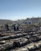 Реализация нацпроекта «Зеленый Казахстан»