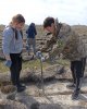 "Қызылжар орман шаруашылығы" КММ-де ағаш отырғызу жұмыстары
