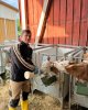 Практика за рубежом как элемент самостоятельной работы студентов
