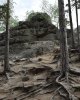 На практику в Чарынский каньон и Бурабай