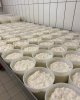 Профессиональная практика в органически сертифицированной компании по производству козьего сыра и йогурта. 