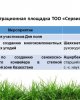 День поля