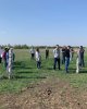 Практико-теоретический семинар 