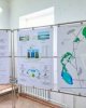 Реабилитация биопруда: первые результаты