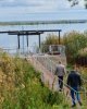 Реабилитация биопруда: первые результаты