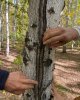 Выездное занятие