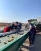 Дуальное обучение в ИП "Стрелец"