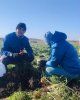 Студенттер дуалды білім алуда