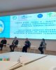 Областной семинар-тренинг "Lesson-Study: от эффективной практики к критериям успешности"