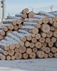 Северный фанерный комбинат