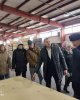 ТОО "Северный фанерный комбинат" 