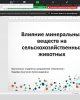 «Перспективы развития продовольственного сегмента Республики Казахстан и стран ближнего зарубежья»