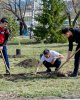 Озеленяем кампус Kozybayev University 