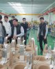 Экскурсия на Alageum Electric
