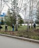 Весенний субботник в Kozybayev University 