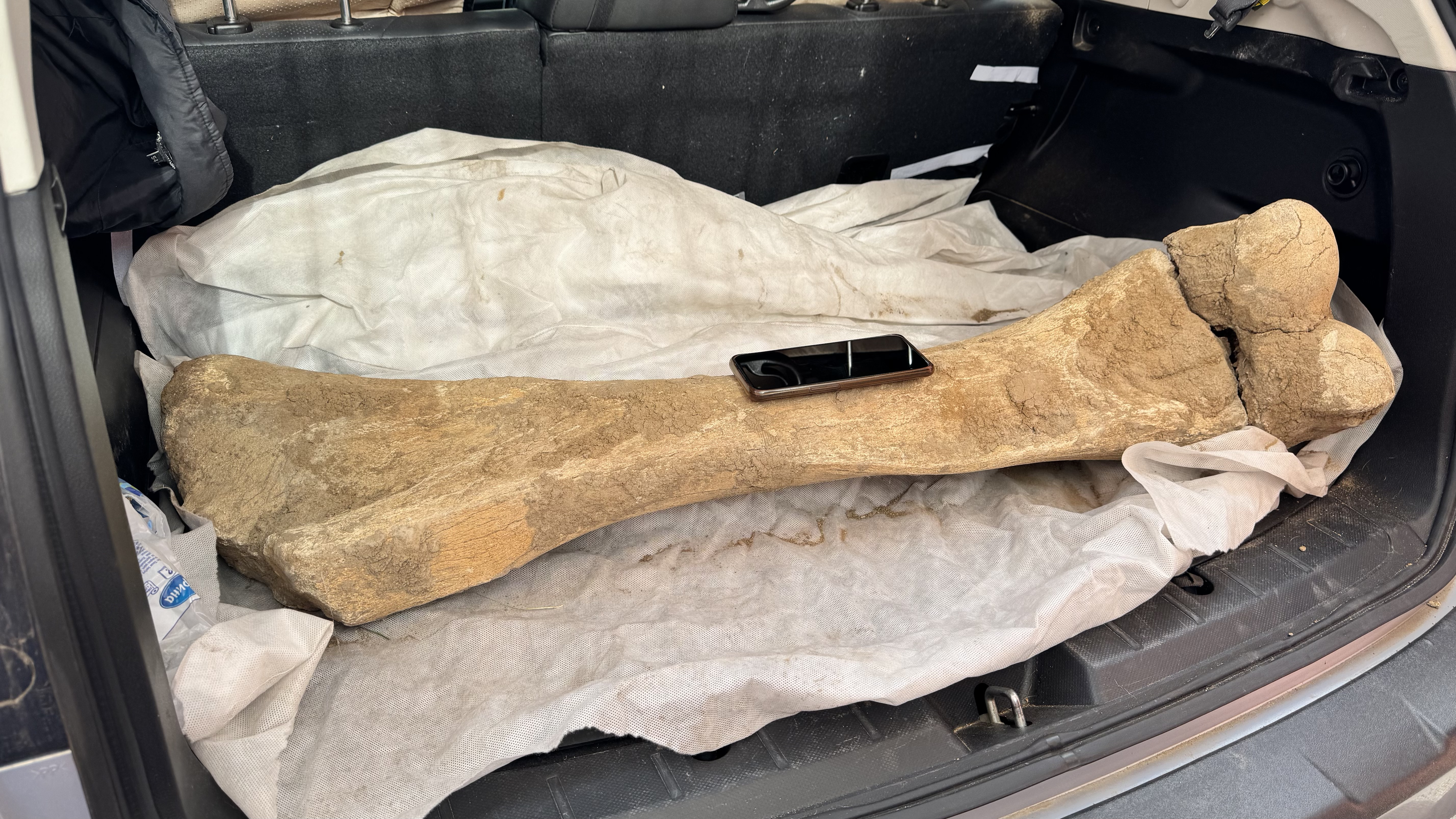СЕНСАЦИОННАЯ НАХОДКА ПОПАЛА В РУКИ АРХЕОЛОГОВ KOZYBAYEV UNIVERSITY