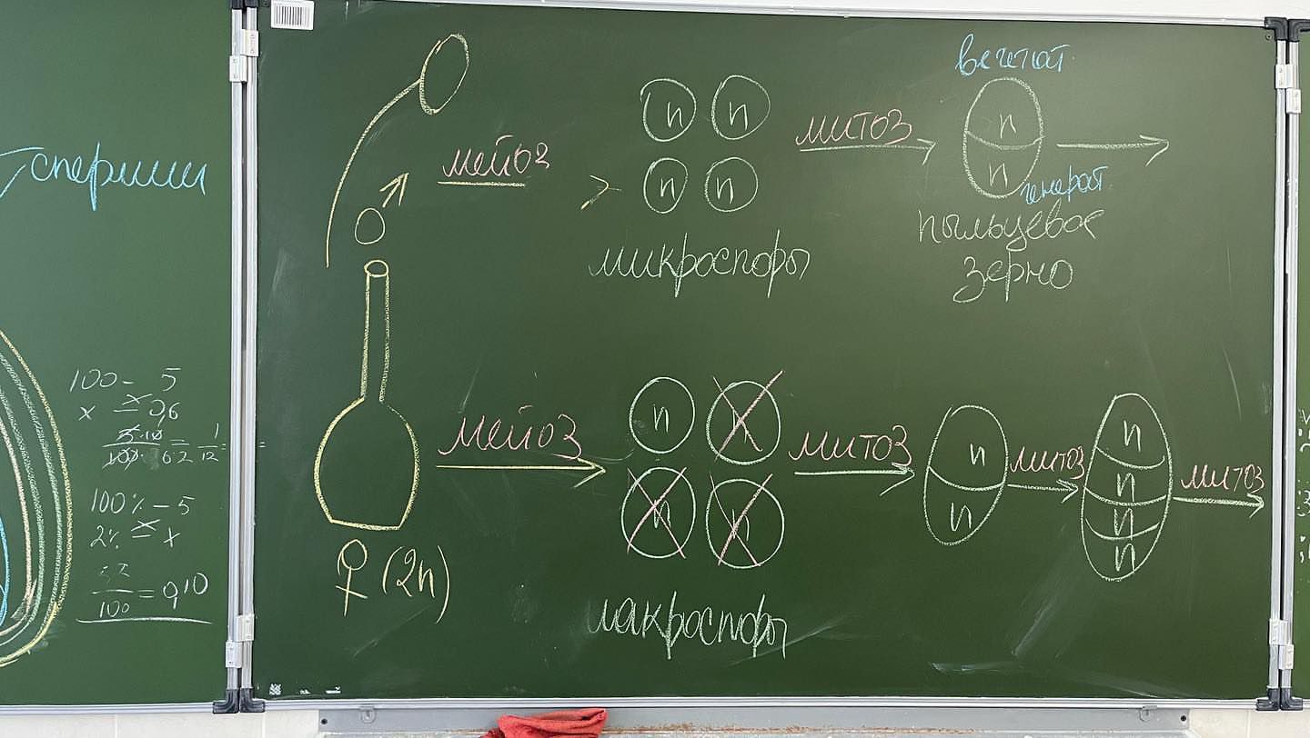 Олимпиадные летние площадки