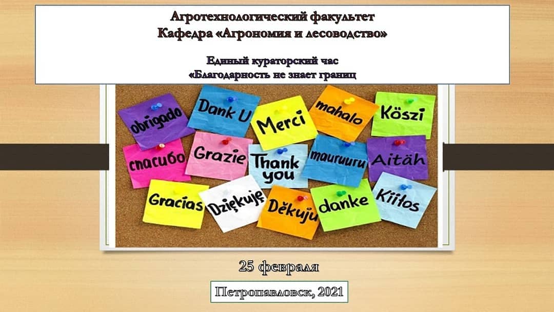 Благодарность не знает границ 